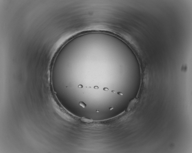 X0000111621372200907311152