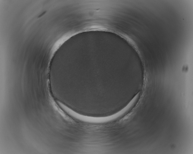 X0000111621373200907311152