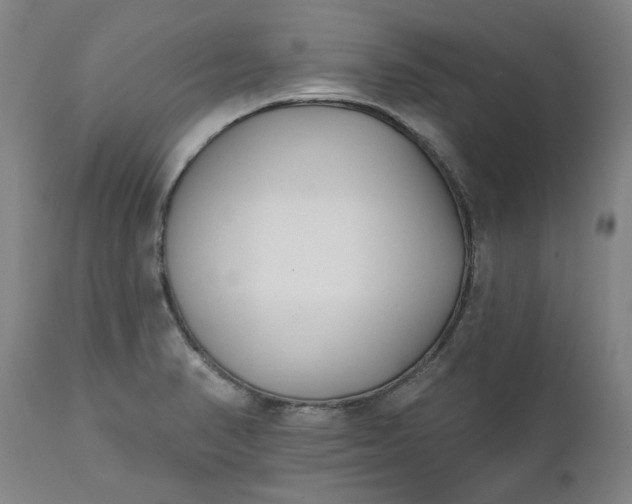 X0000111621374200907311152