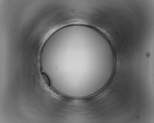 X0000111621375200907311152