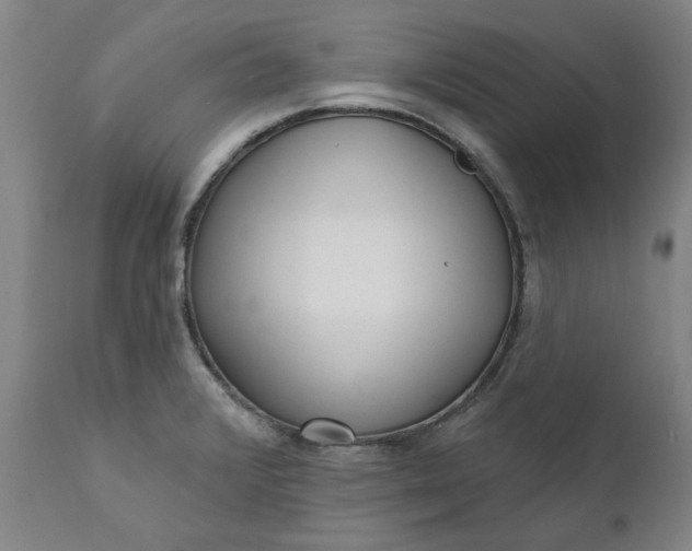 X0000111621376200907311152