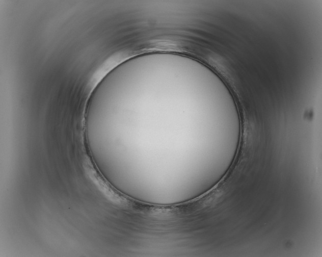 X0000111621378200907311152