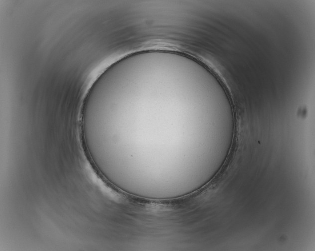X0000111621379200907311152