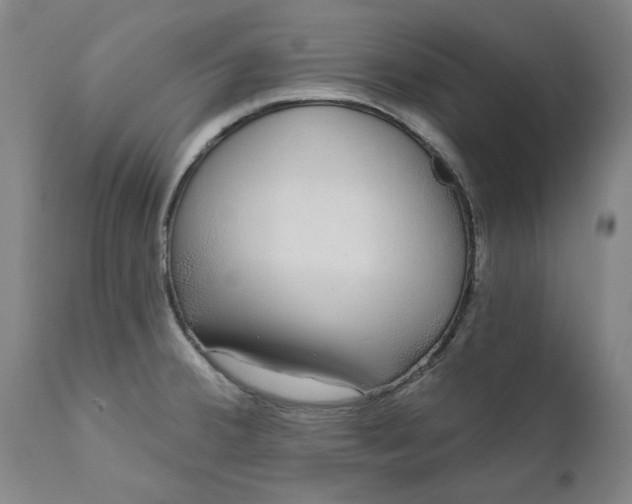 X0000111621380200907311152