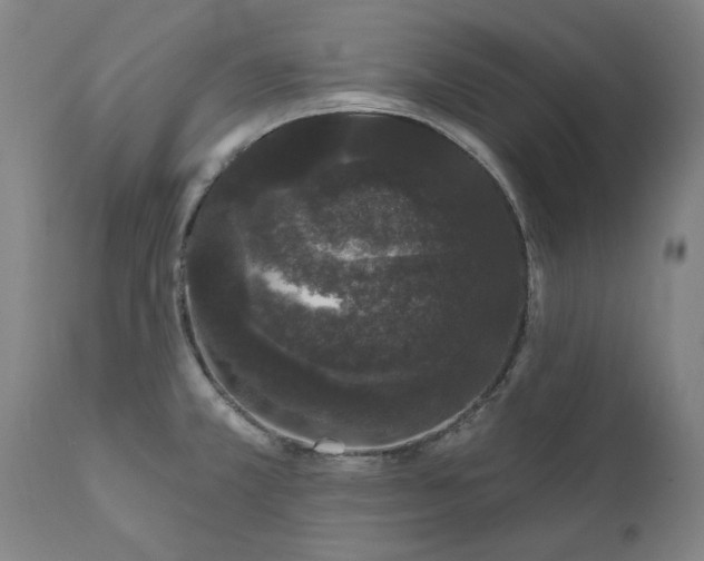 X0000111621381200907311152