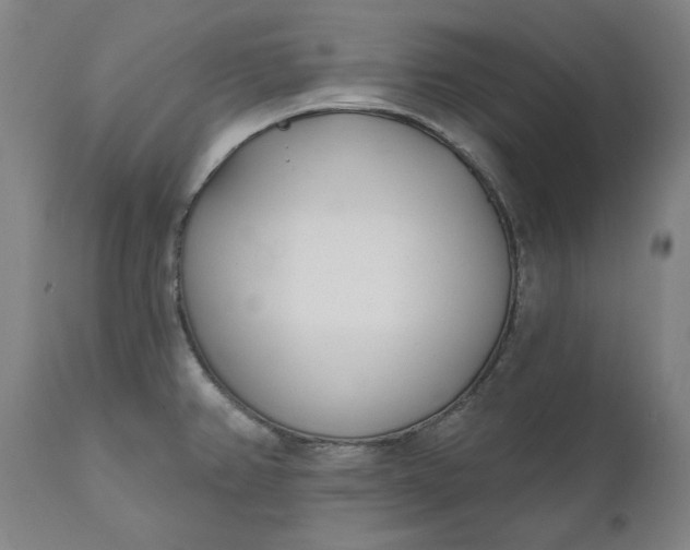 X0000111621382200907311152