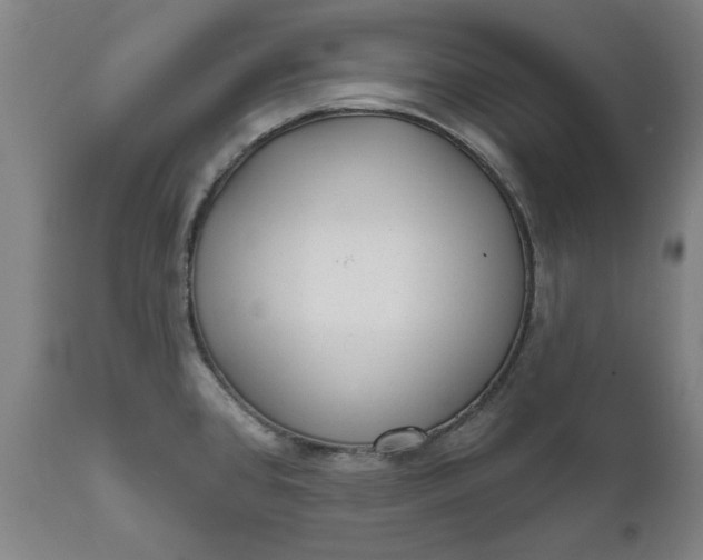 X0000111621384200907311152