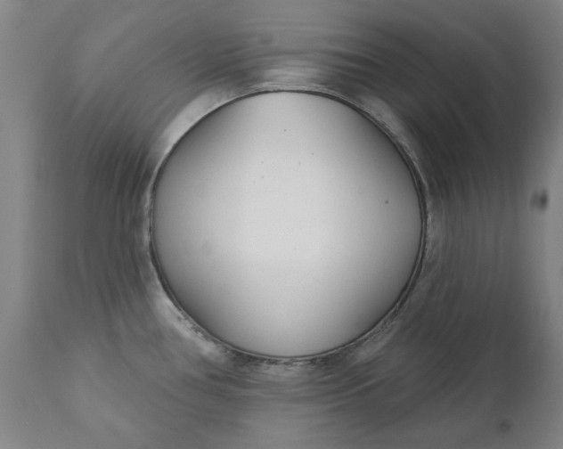 X0000111621386200907311152