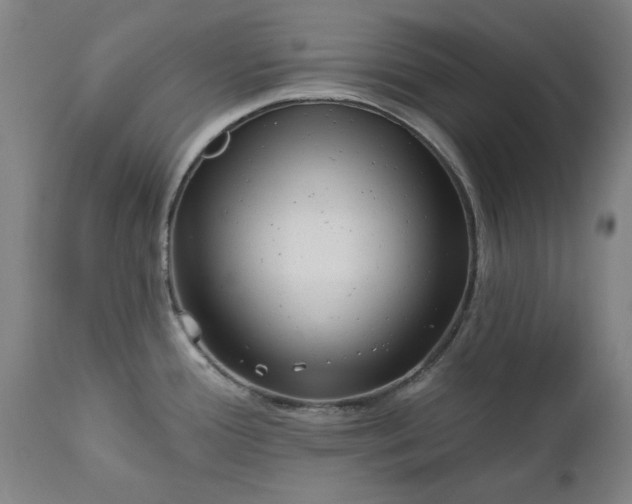 X0000111621388200907311152