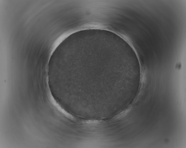 X0000111621389200907311152