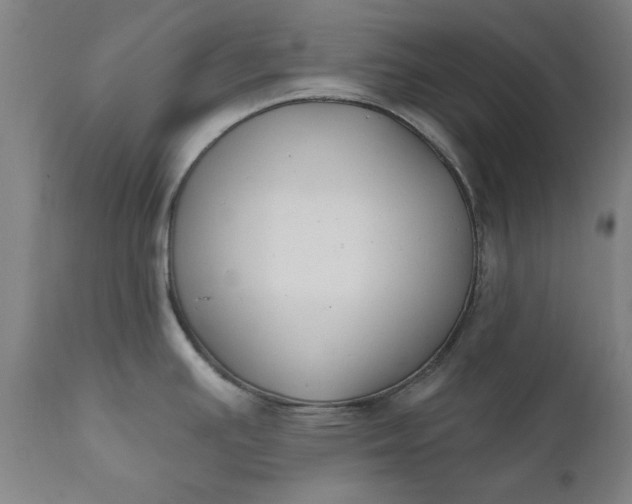 X0000111621391200907311152