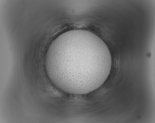 X0000111621393200907311151