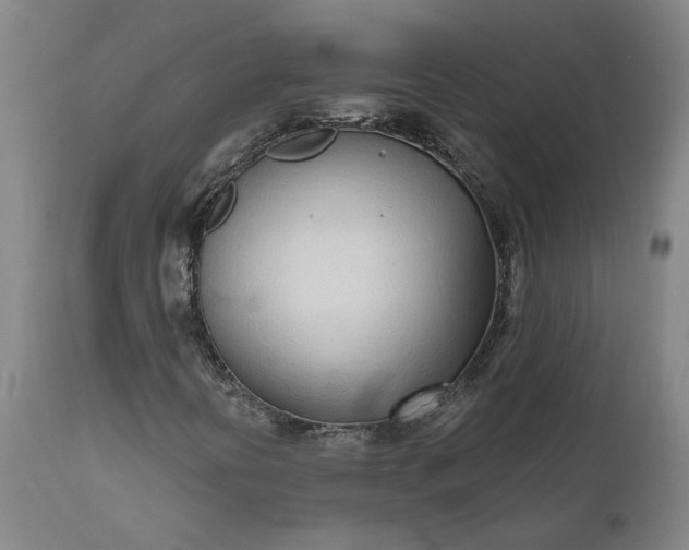 X0000111621394200907311152