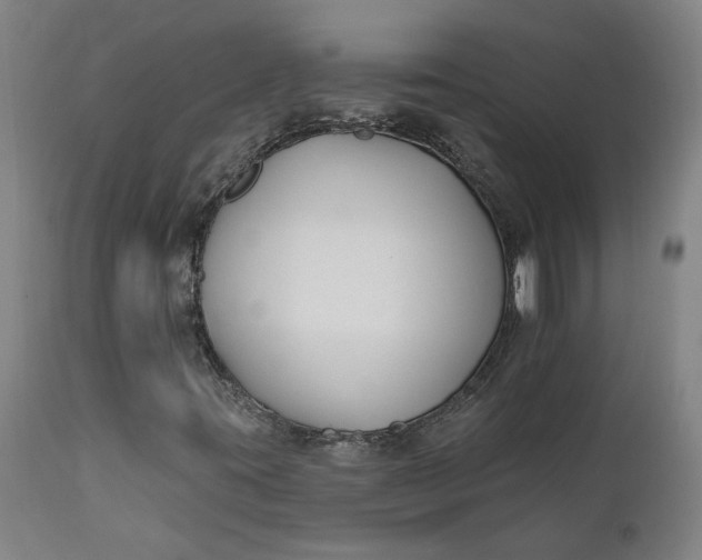 X0000111621395200907311152