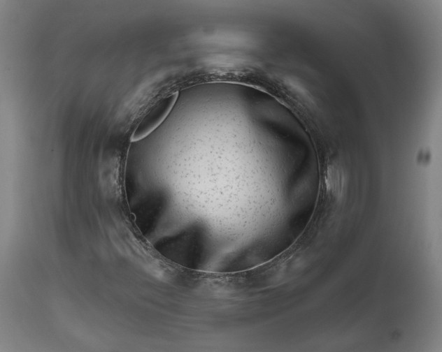 X0000111621396200907311152