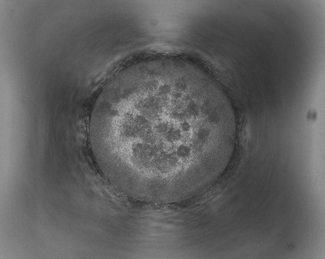 X0000111621397200907311152