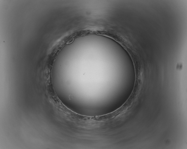 X0000111621398200907311152