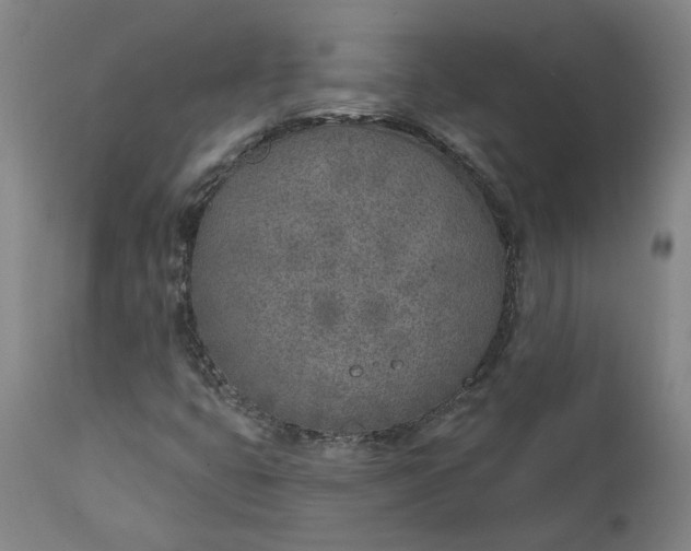 X0000111621399200907311152