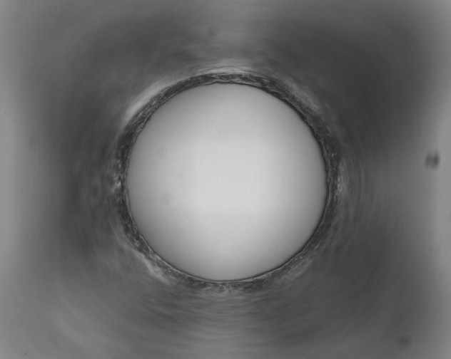 X0000111621400200907311152