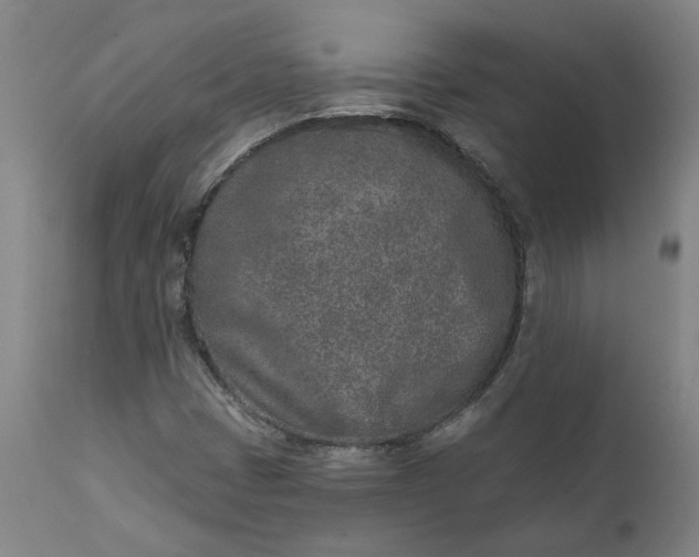 X0000111621401200907311152