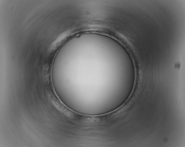 X0000111621403200907311152
