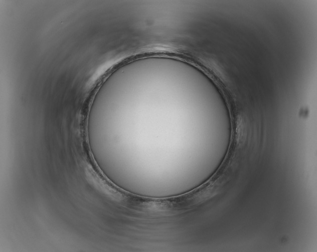 X0000111621404200907311152