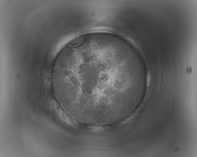 X0000111621405200907311152