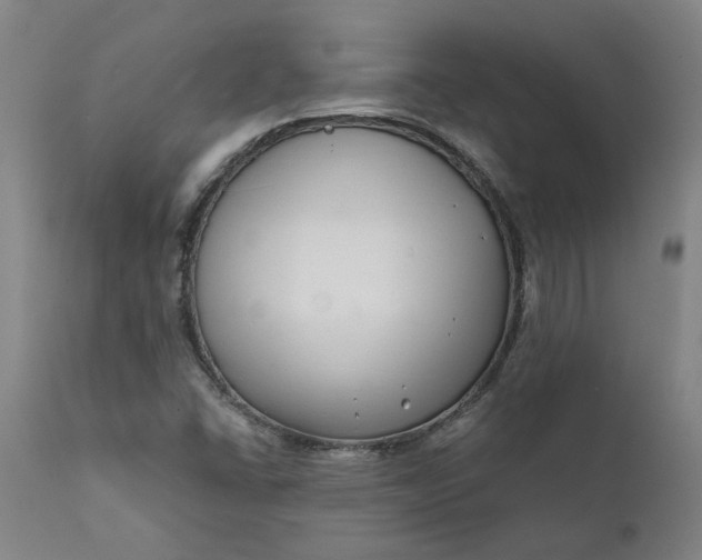 X0000111621406200907311152
