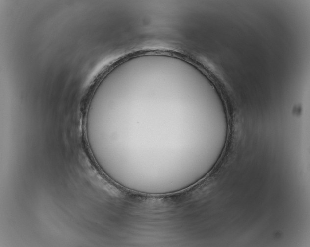 X0000111621408200907311152