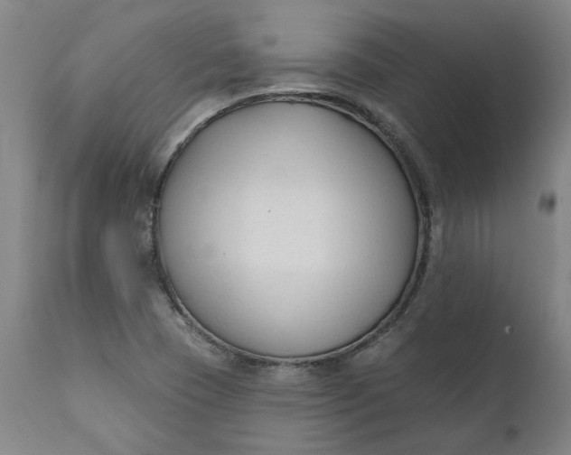 X0000111621409200907311152