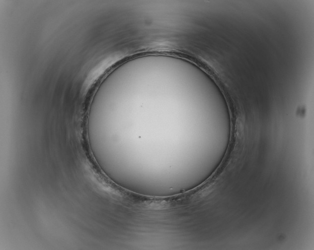 X0000111621410200907311152