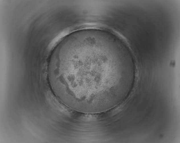 X0000111621411200907311152
