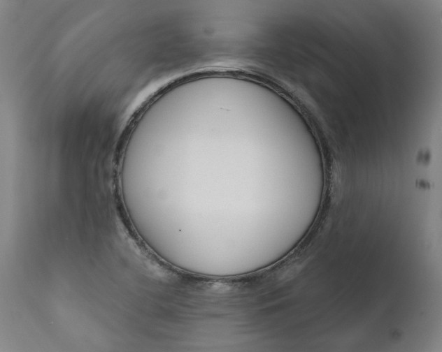 X0000111621412200907311152