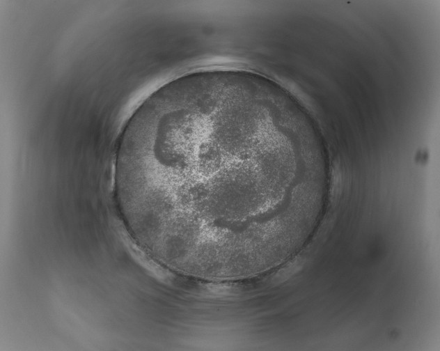 X0000111621413200907311152