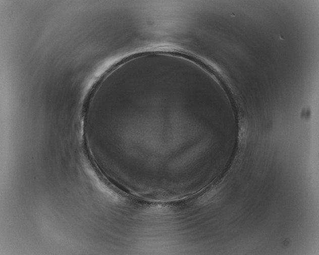 X0000111621414200907311152