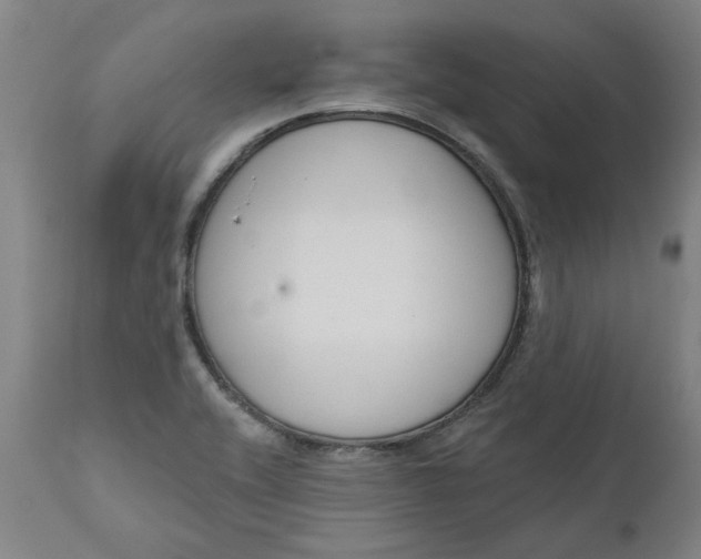 X0000111621416200907311152