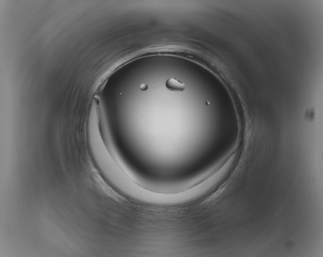 X0000111621417200907311152