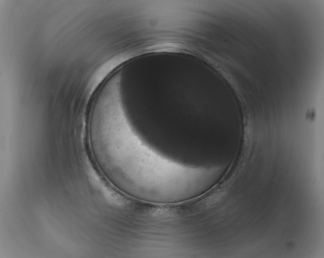 X0000111621418200907311152