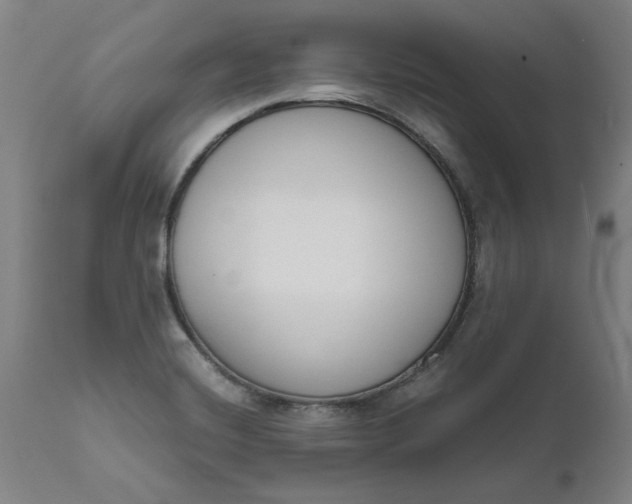 X0000111621420200907311152