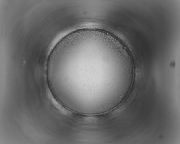 X0000111621421200907311152