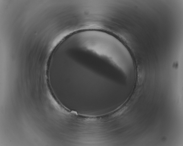 X0000111621422200907311152