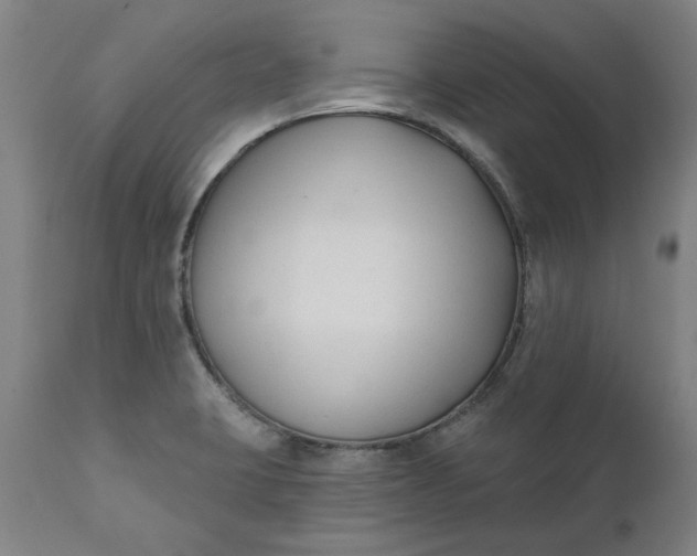 X0000111621423200907311152