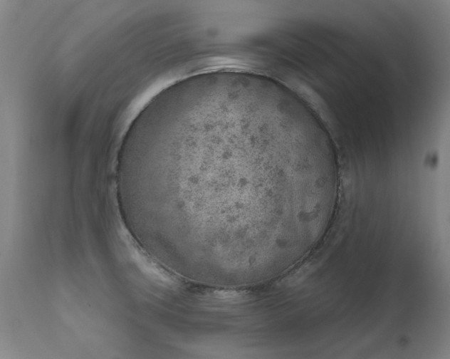 X0000111621427200907311152