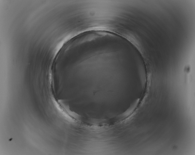 X0000111621428200907311152