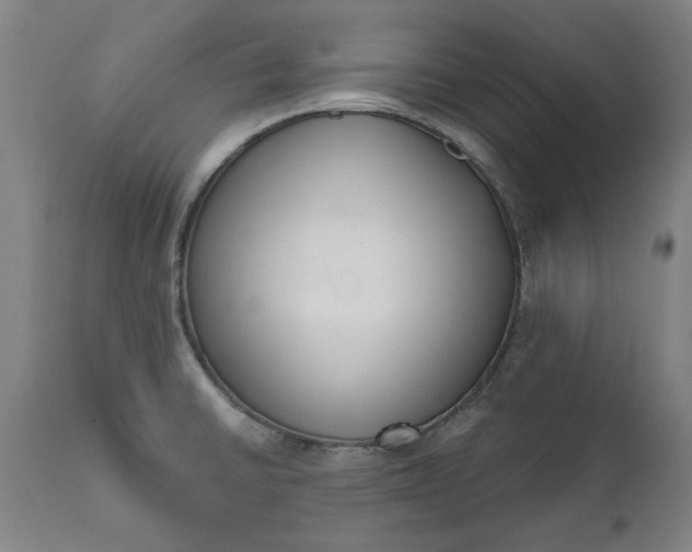 X0000111621430200907311152