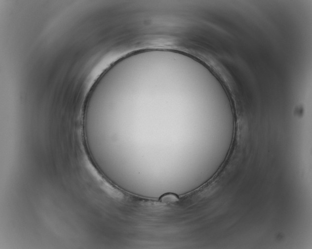 X0000111621432200907311152
