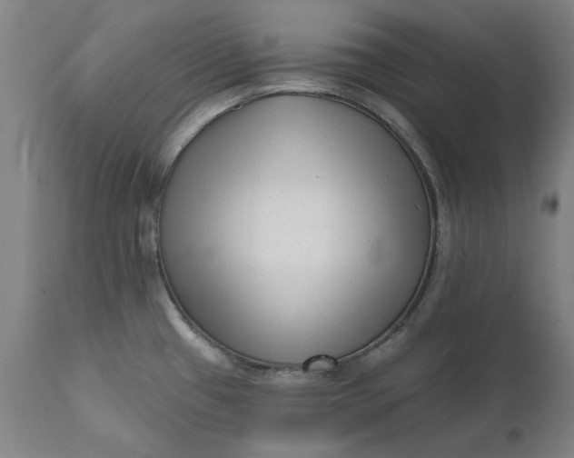 X0000111621433200907311152