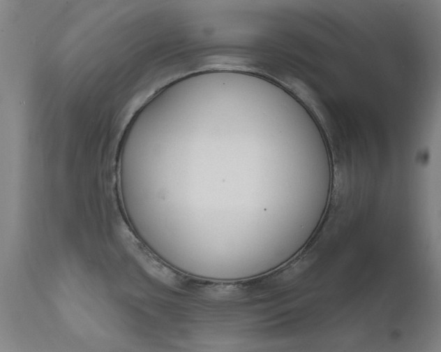 X0000111621435200907311152