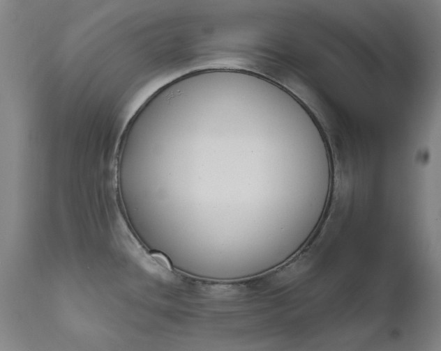 X0000111621436200907311152