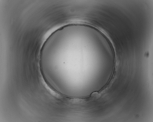 X0000111621437200907311152